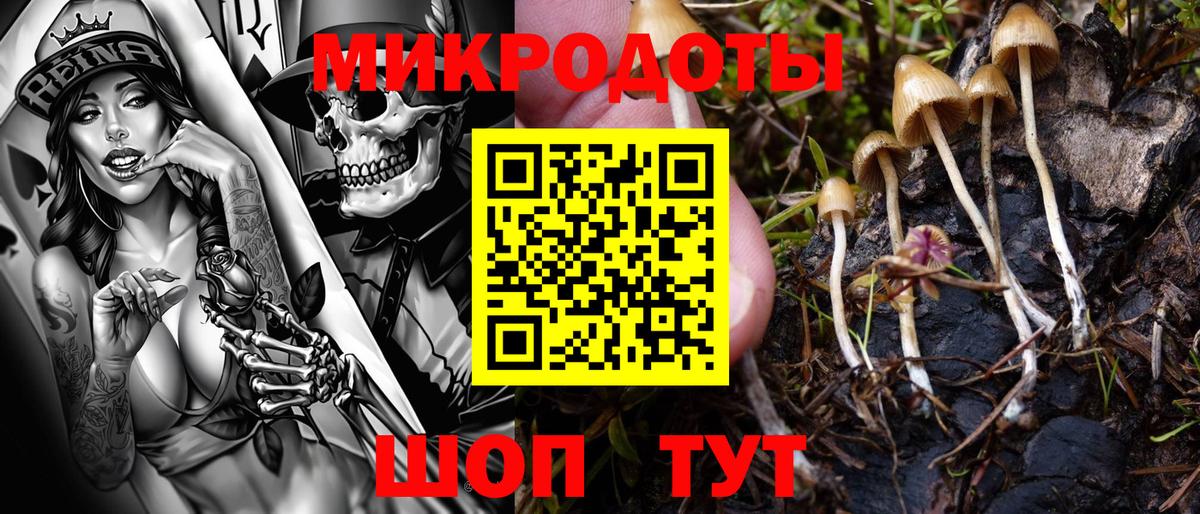 Люберцы  Псилоцибиновые грибы прущие грибы  хочу   Вход с VPN 